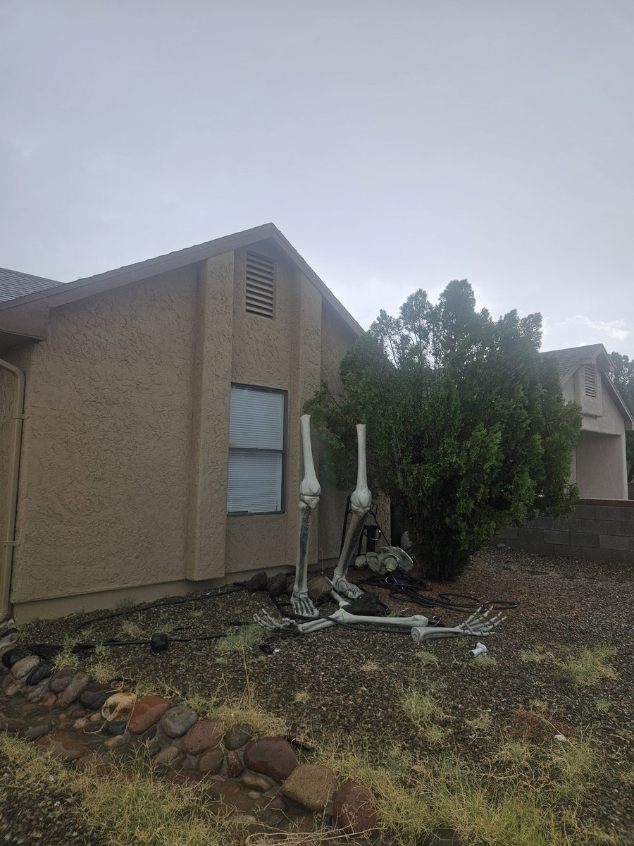 CulinaryCowboy_'s tweet photo. The monsoon took out my 12ft skeleton 😭 #azwx #monsoon https://t.co/GdDtT7Q4J9
