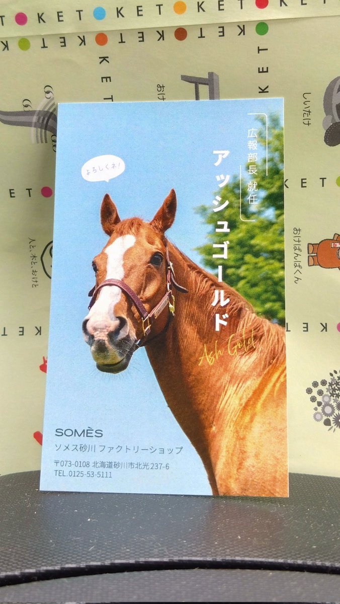 Tdfpo001's tweet photo. 通院日なので通院後にソメスサドルさんに。
仲良しアッシュ君とイーグル君
名刺夏Ver.も頂いて来ました。(ちゃんと買い物もしました。)
#ソメスサドル　#名刺夏ver
#アッシュゴールド
#エイシンイーグル https://t.co/6GTHHF7rac