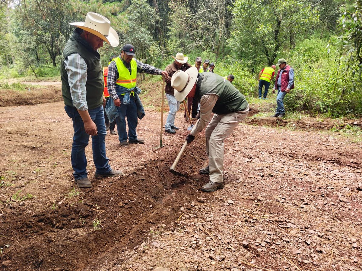 Probosque_'s tweet photo. En las faldas del Xocotépetl, donde establecieron 200 árboles de Pinus pseudostrobus y desarrollaron acciones de conservación y mantenimiento forestal. #ElPoderDeServir https://t.co/LqLvSgHOrS