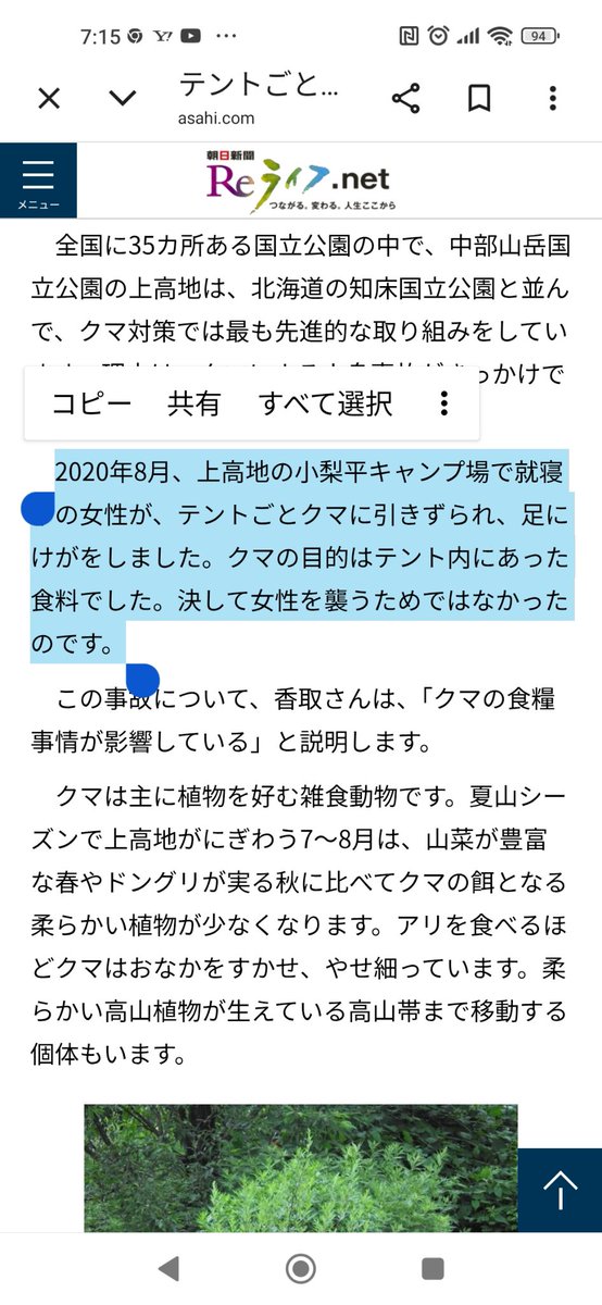 hidehirohudou's tweet photo. 熊に聞いたわけでもねえのに
たまたま怪我で済んだ事を　決めつけた記事だな。 https://t.co/cps1uL7JSP