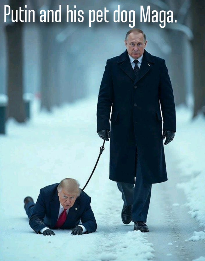 KennyBakespidr's tweet photo. @DarkRagu69 @ClownParty0000 @TheMaineWire https://t.co/xpeYpkZEkE