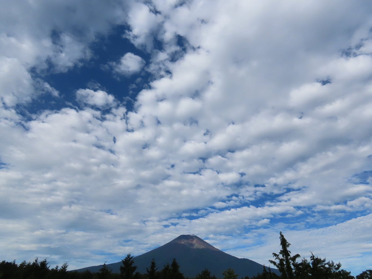 shinya_65's tweet photo. 2026/7/14(火)
今朝の #富士山
曇天 気温21度

#山梨県
#富士北麓
#イマフジ
#イマソラ https://t.co/lN432SxbxO