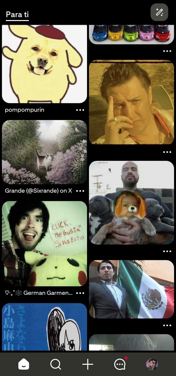 and_iloverheer's tweet photo. Cómo se siente ser posser 😁😁🦚🦚 https://t.co/Mizt6BVWfq