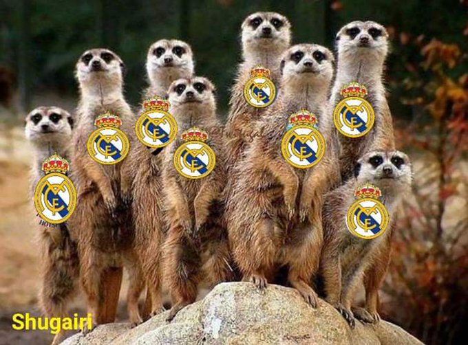 MessiAndroid10's tweet photo. @DCuesto @ToniKroos @FIFAWorldCup @fifaworldcup_es @fifaworldcup_ar @alimo_philip @WorldCupFinal @WorldCupFFA @wrldcupmedia https://t.co/QztPNSaGAB