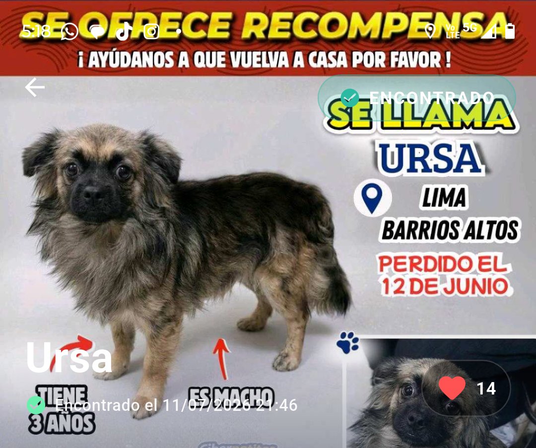 PawFindr - Mascotas Perdidas tweet media