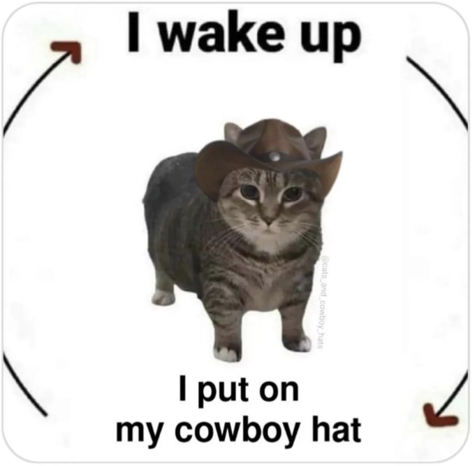 pcatpf's tweet photo. Cowboy hat on, we are going for a ride

side note working on some quality content https://t.co/XUrUEv9eYg