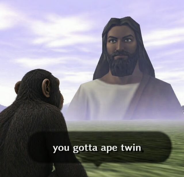 Bear tweet media