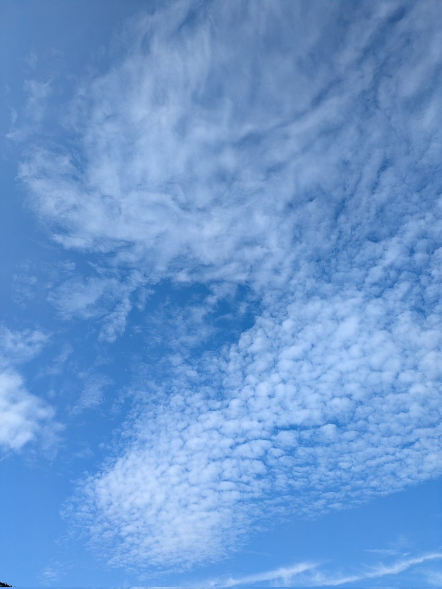 yomogi134's tweet photo. おはようございます
今日も暑いですね〜
梅雨明けはまだでしょうか��
熱中症、その他もろもろ気をつけていきましょう！
＃空がある風景 https://t.co/bbZfuye8oL