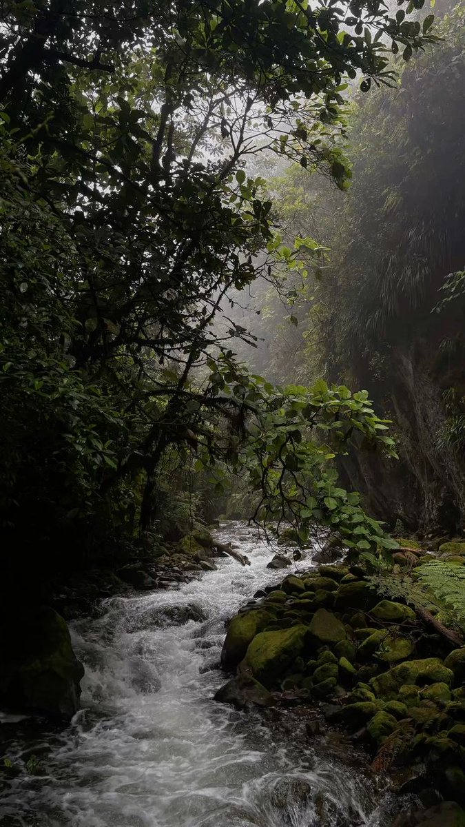 greenvibe's tweet photo. The quietest places say the most. https://t.co/IAYGvtVrzy