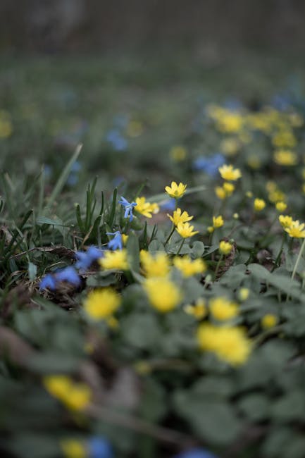 Spring Hielscher tweet media