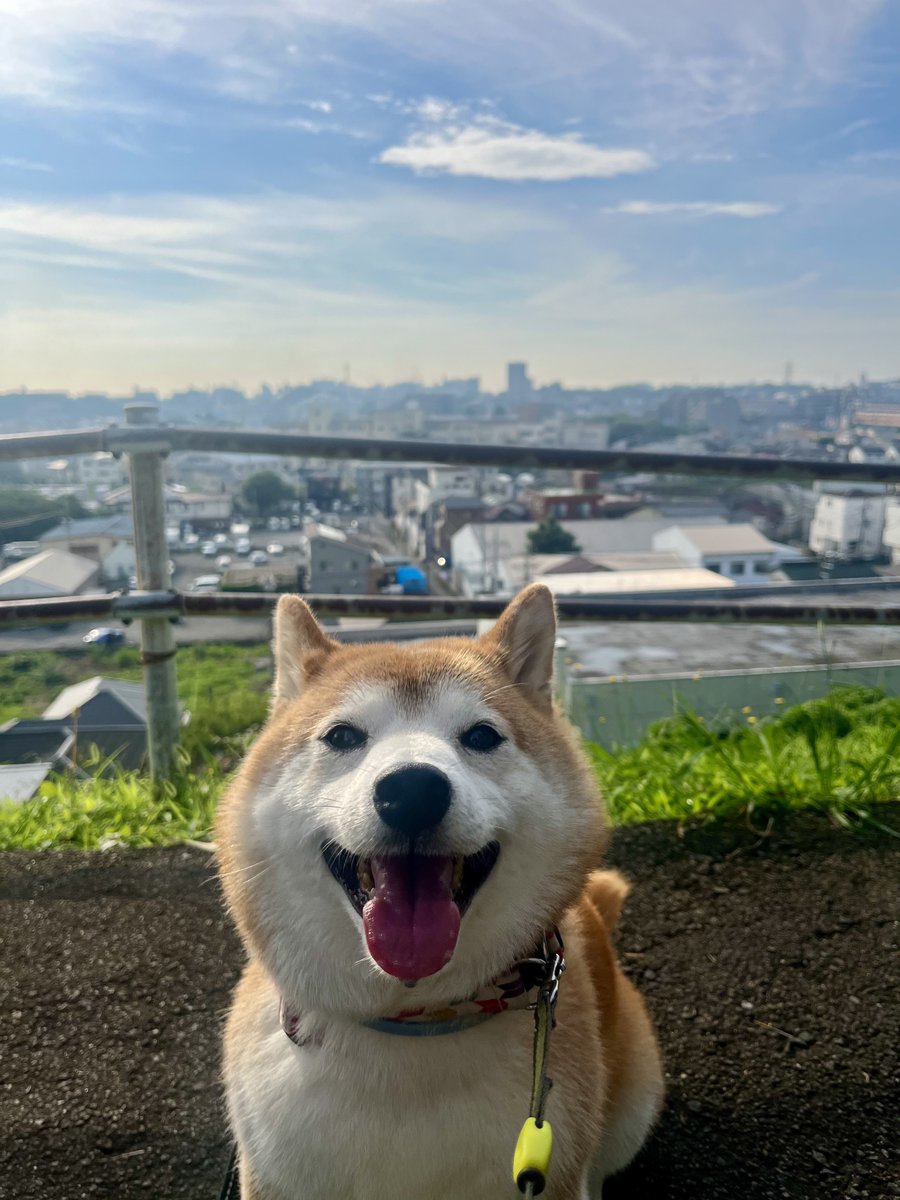 けんチャン・ドンゴン✈︎ tweet media