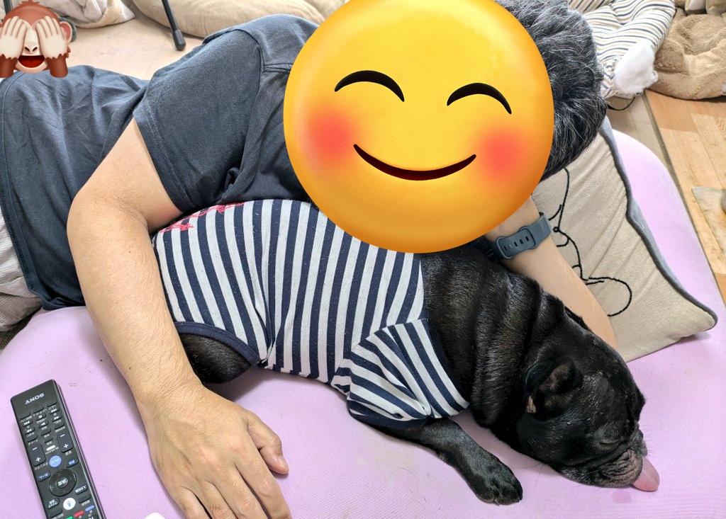 subasaku2020's tweet photo. おはようございます
朝食を作っている間、Yogiboをシェアしてくつろぐ人と犬
#フレンチブルドッグ https://t.co/QaGjtrgkc1