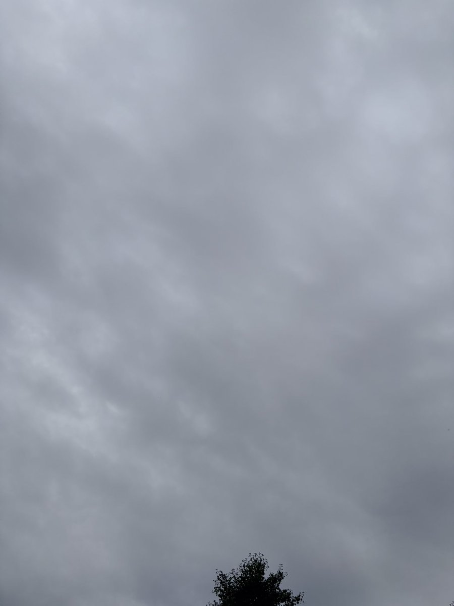 min_cury's tweet photo. おはようございます🌻

火曜日、モヤっと空気の曇り空スタート
猛暑日予想、朝から元気な蝉たち、夏ですねぇ
よい1日をお過ごしください🍀

#イマソラ https://t.co/UNyfIiUNga