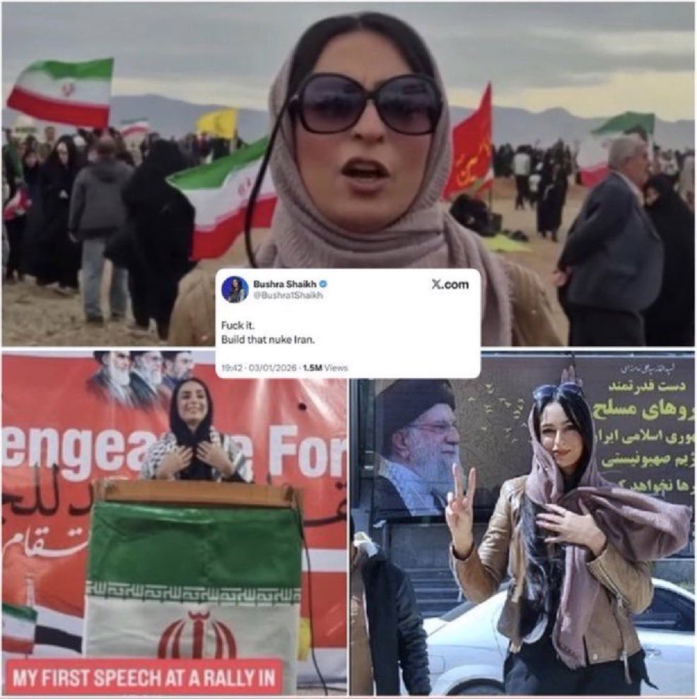 Sana Ebrahimi Ledene tweet media