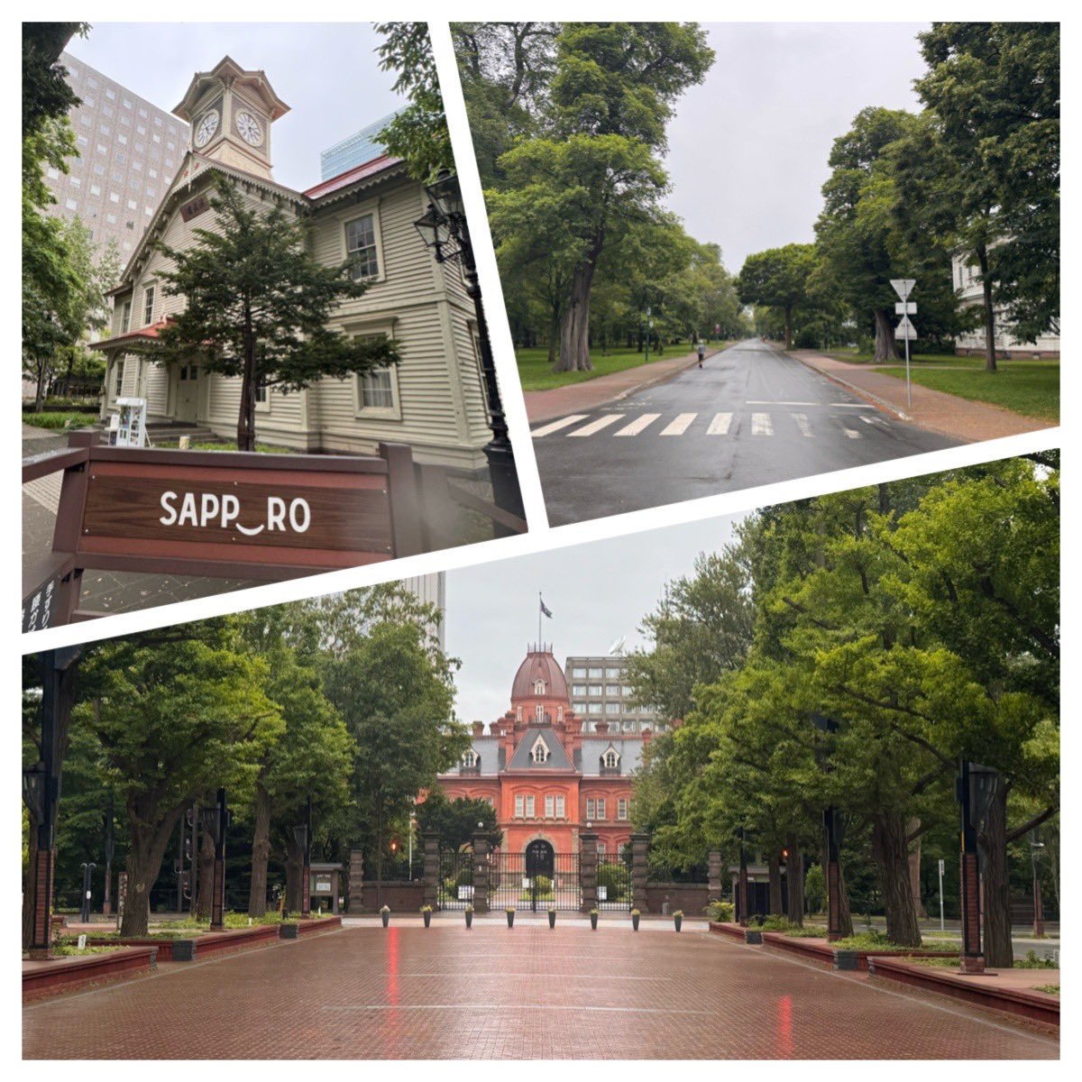 runner_eiki's tweet photo. 今朝は 気温21℃ 湿度95% 霧雨🌫️の中、出張ラン8.13km♪
ビアフェス🍺モードの大通公園🗼〜札幌時計台🕰️〜北海道庁旧本庁舎〜北海道大学🏫構内散策ジョグ🏃💦
北大構内はランナーたくさんでした🏃🏃♀️
Avg Heart Rate 139 bpm
#HokaOneOne #Rincon4 👟
#朝ラン #ランニング
#走れることに感謝
#RunToFeel https://t.co/pNewseuYua