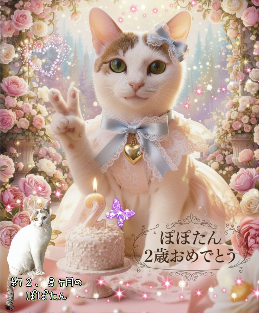 nyanjirou28's tweet photo. 明日7/15、ぽぽたん2歳のBirthday🎂
そしてうちの子になる運命だったから
うちの子記念日✨️
2歳おめでとう💐
うちに来てくれてありがとう
これからも沢山大切にするからね

出来れば小さい時のパヤ毛なぽぽたん
見たかったな

#エステー保護ネコ応援プロジェクト 
#お誕生日 #おで部 https://t.co/Ua06ThMqgV