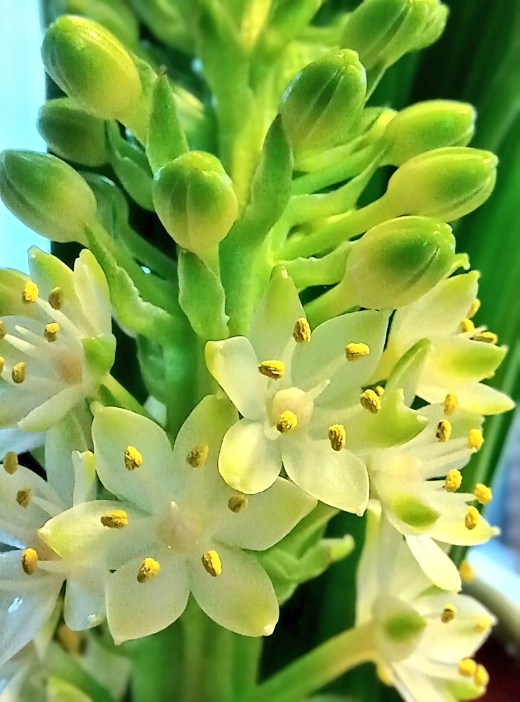 おはよう御座います🤗 今日も宜しくお願いします 🔆 ̨ ̨ ₍⌯́ʚ⌯̀