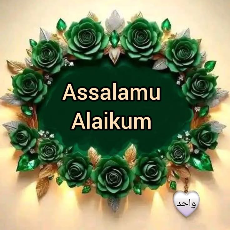 AnishaMohammed's tweet photo. https://t.co/zKTtFvztok