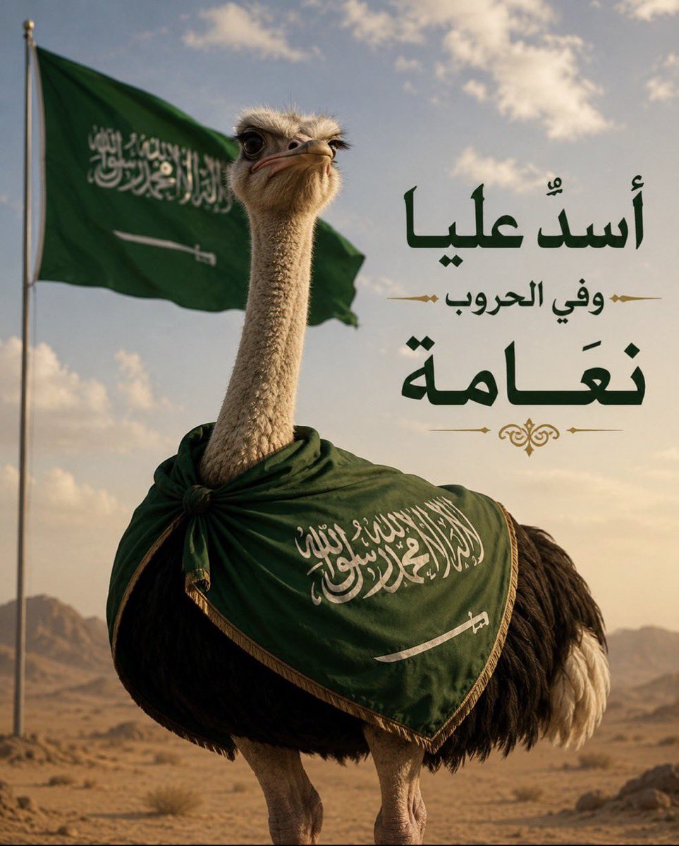 Mub82 tweet media