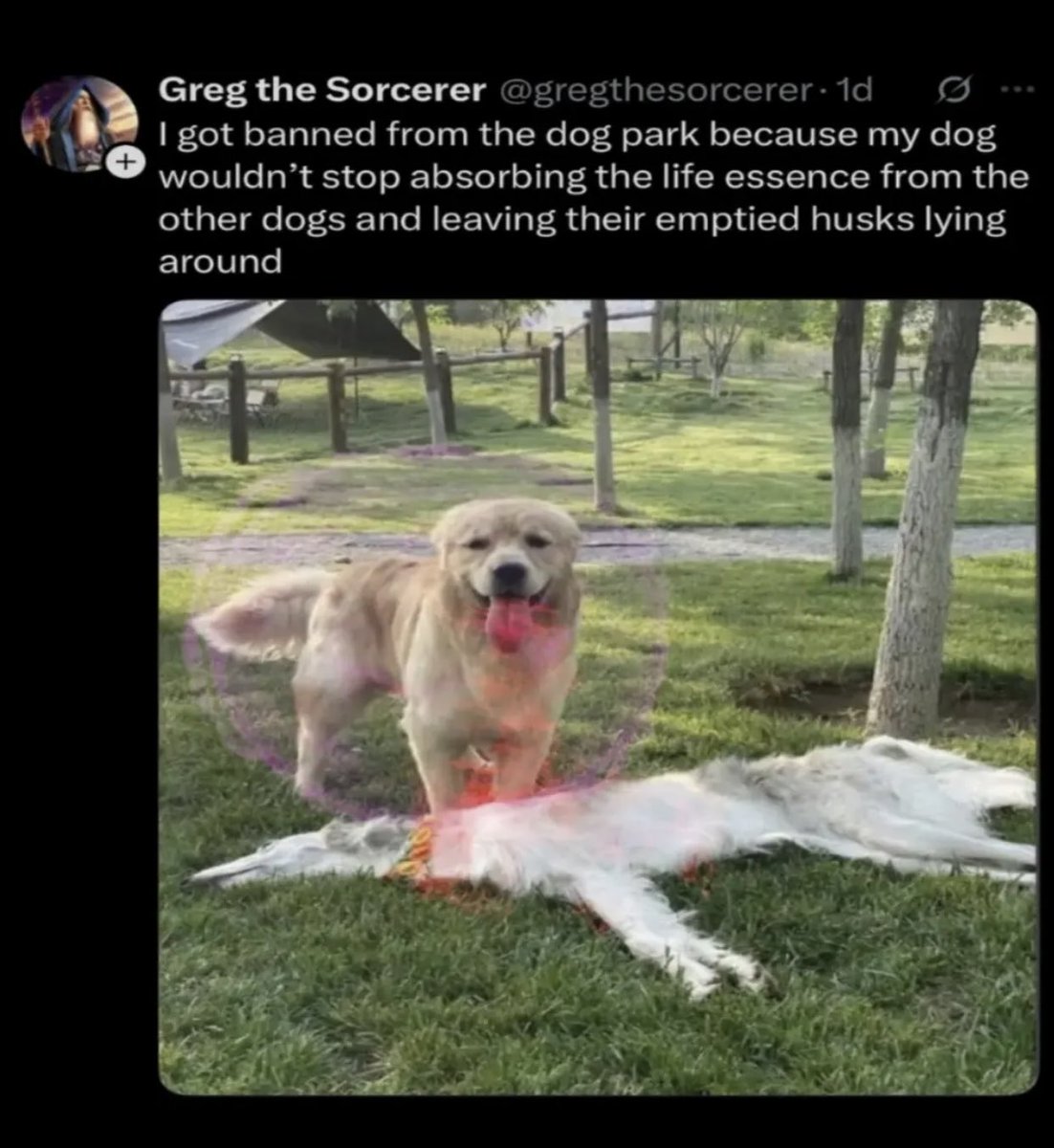 Syntex3666's tweet photo. @equine__dentist Hey I have a meme of this photo https://t.co/CQnkzvSshC