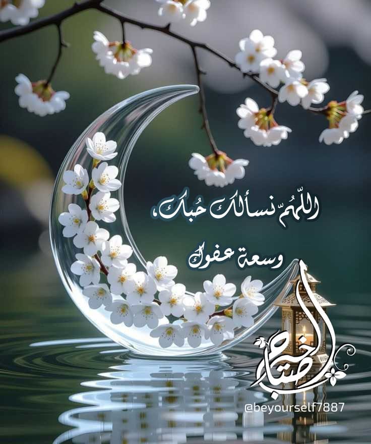 sena_wael's tweet photo. https://t.co/7OTH60hOGK