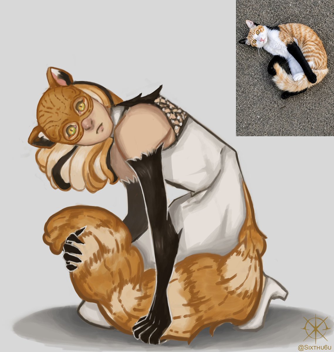 sixthu6u's tweet photo. Cat so cute they revive my account https://t.co/OUFOGAt4MR