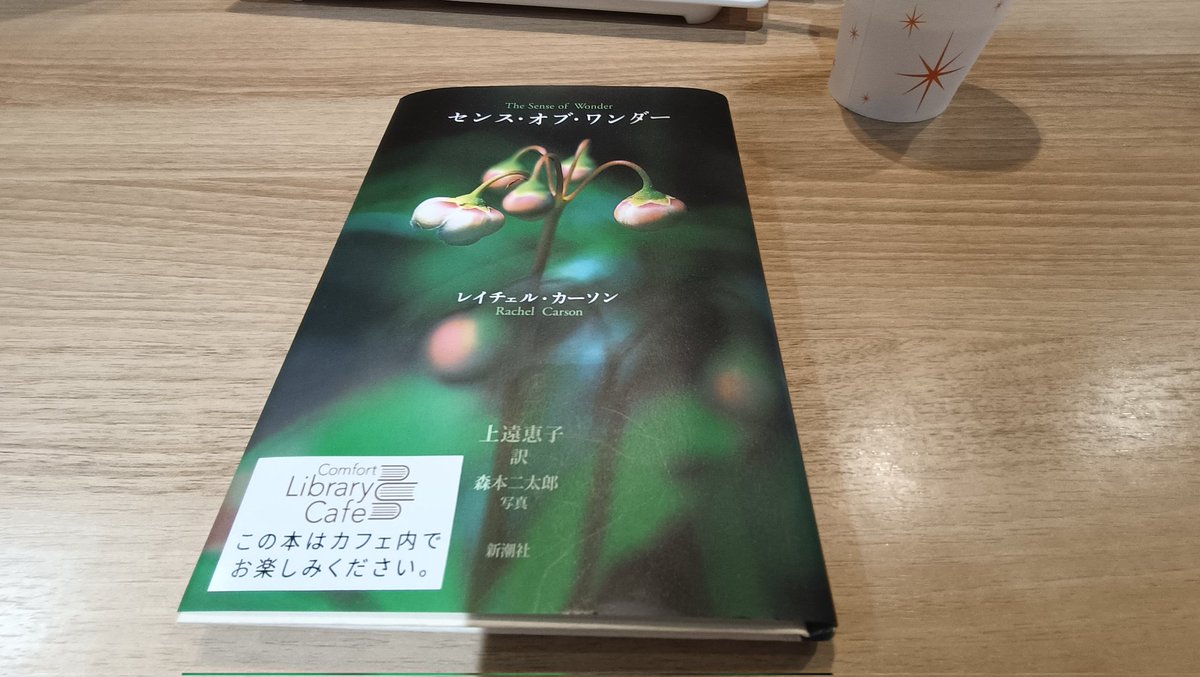 席に座って前を見ると本がいい感じのチョイス。その中には何回読んだか