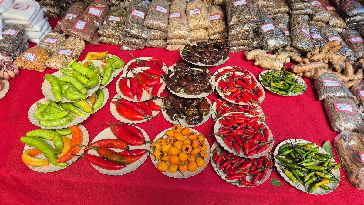 CoriesCrafts's tweet photo. Both Brazil and it's people are colorful and vibrant! So are Corie's Crafts ;-)
#coriescrafts #handmadejewelry #brazilvacation #inspiredbybrazil https://t.co/oESjuAMyZf