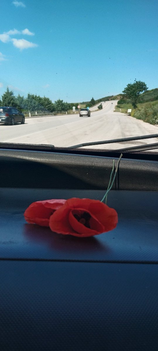 monarchgold1's tweet photo. “bazen yok olmak isteyeceğin kadar yalnız ve çaresiz hissedebilirsin; ama Allah'a sığınmak, en karanlık anları bile aşmanın tek yoludur.” https://t.co/1ryf1OYmkz