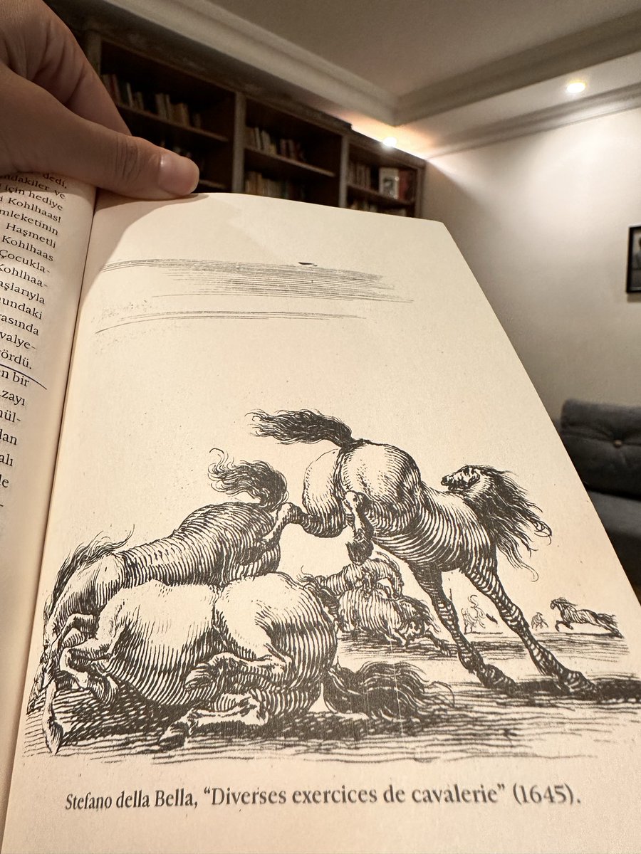 cibrannnnn's tweet photo. 🐴 https://t.co/0mjeWYN6VE