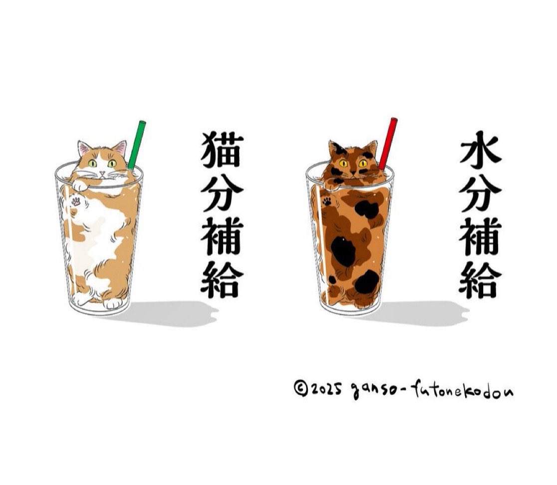 mojugiso's tweet photo. だいじだいじ🥤 https://t.co/zlNZhp6JQQ