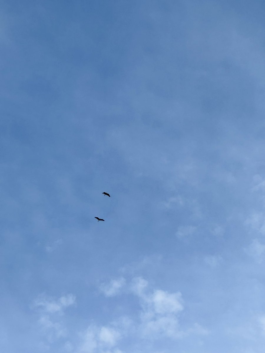 paakokooko20618's tweet photo. おはようございます
雲多いけど、青空のいわきの朝
気温22℃、湿度94％🥵、日中30℃😩、☁️の予報
朝から蒸し蒸し、雲が頑張って太陽が負けてるのでまだマシかな
太陽、そのままstayで💦
水分補給しっかりと、色々気をつけて良い一日を、よろしくお願いします

#空ネット #シェア天 #福島撮影隊 https://t.co/NRAEBn2uvV