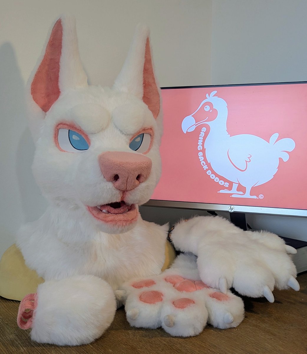 Pixelll_Art's tweet photo. 🌸🌸HE IS DONE🌸🌸

This baby will be up for sale tomorrow starting at only 5$ on dealers den :3

I will be posting a link in another post but if you want me to send you a link directly comment bellow :3

#fursuit #fursuitforsale #FursuitEverday #fursuitsale #fursuitmaker https://t.co/zOi5dU2w2n