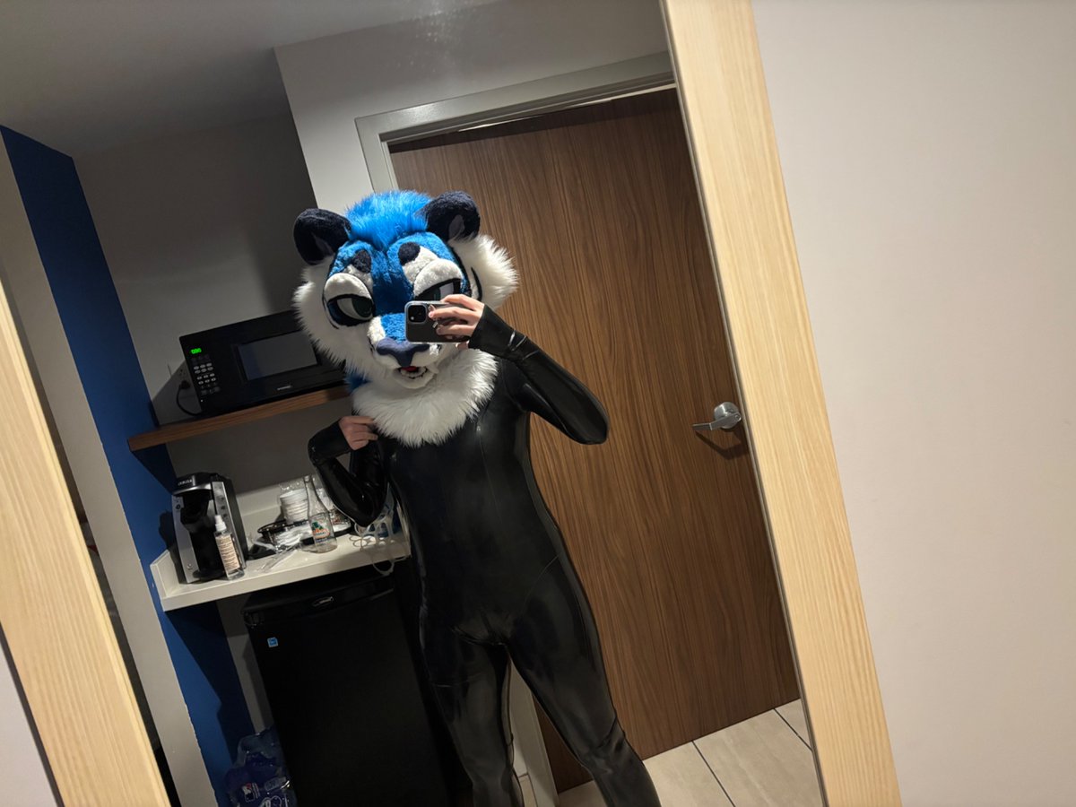ComixAfterDark's tweet photo. Shiny kiggy (from AC) https://t.co/4CQ002UzfI