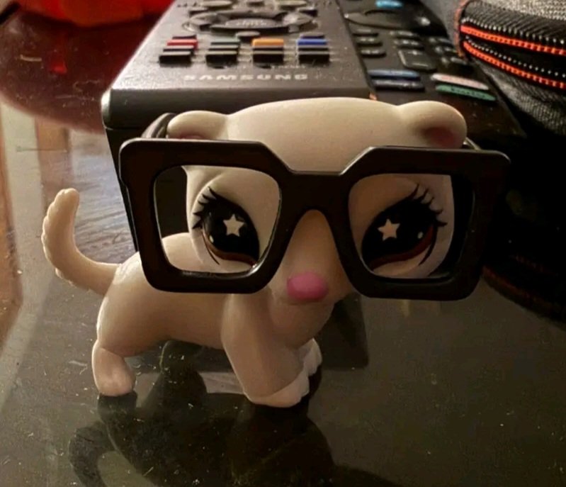 Berlinaufangirl's tweet photo. Ily Karolina and your outrageously ginormous glasses https://t.co/3cEEV0ZE2W
