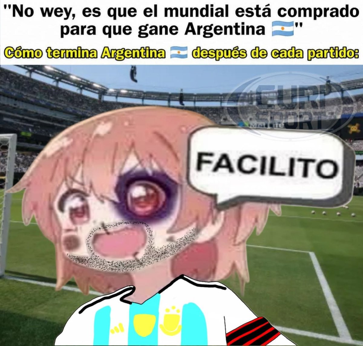 Otakus y Mundial Del Dia a Dia tweet media