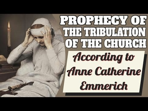 Jsmum46's tweet photo. .. I saw in all places Catholics oppressed, annoyed, restricted, and deprived of liberty, churches were closed, and great misery prevailed everywhere with war and bloodshed... Again I saw St. Peter’s undermined... but it was delivered at the moment of greatest distress. 🧵 https://t.co/4EOTWxkPZc