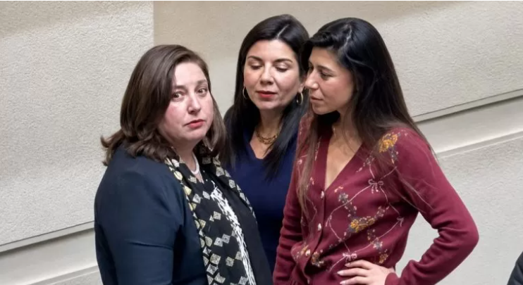 SebastianRochaZ's tweet photo. 🔹Finalmente se pacta la tregua en el Partido Socialista.

En donde su presidenta Paulina Vodanovic acepta someterse a la dupla bufonesca Cicardini - Manouchehri y endurecer aun mas su postura ante el gobierno.

Y así es como la izquierda termina atrincherándose en su 30% - 35% de feligreses, una izquierda cada vez mas chica, mas diminuta, tildando y apuntando con el dedo a todo aquel que piense distinto como " extrema derecha ".

Cuanto daño le hizo a la izquierda democrática chilena, primero la llegada del Frente Amplio y ahora la dupla Cicardini - Manouchehri.

Probablemente ya sea un daño irreparable 🪦