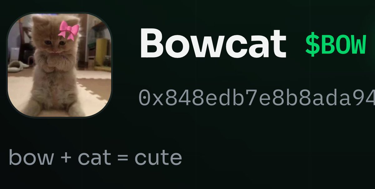 retardedandpoor's tweet photo. If $BOW / https://t.co/5yQigOFw8S is indeed legit and whomever is running it is wise enough to see the career ahead then...

And if the largest coin on BOW is a cat meme coin - bowcat...

One of the first to graduate... only at $60k...

0x848edb7e8b8ada94754c1dada987422f32203b03 https://t.co/niddp02EWH