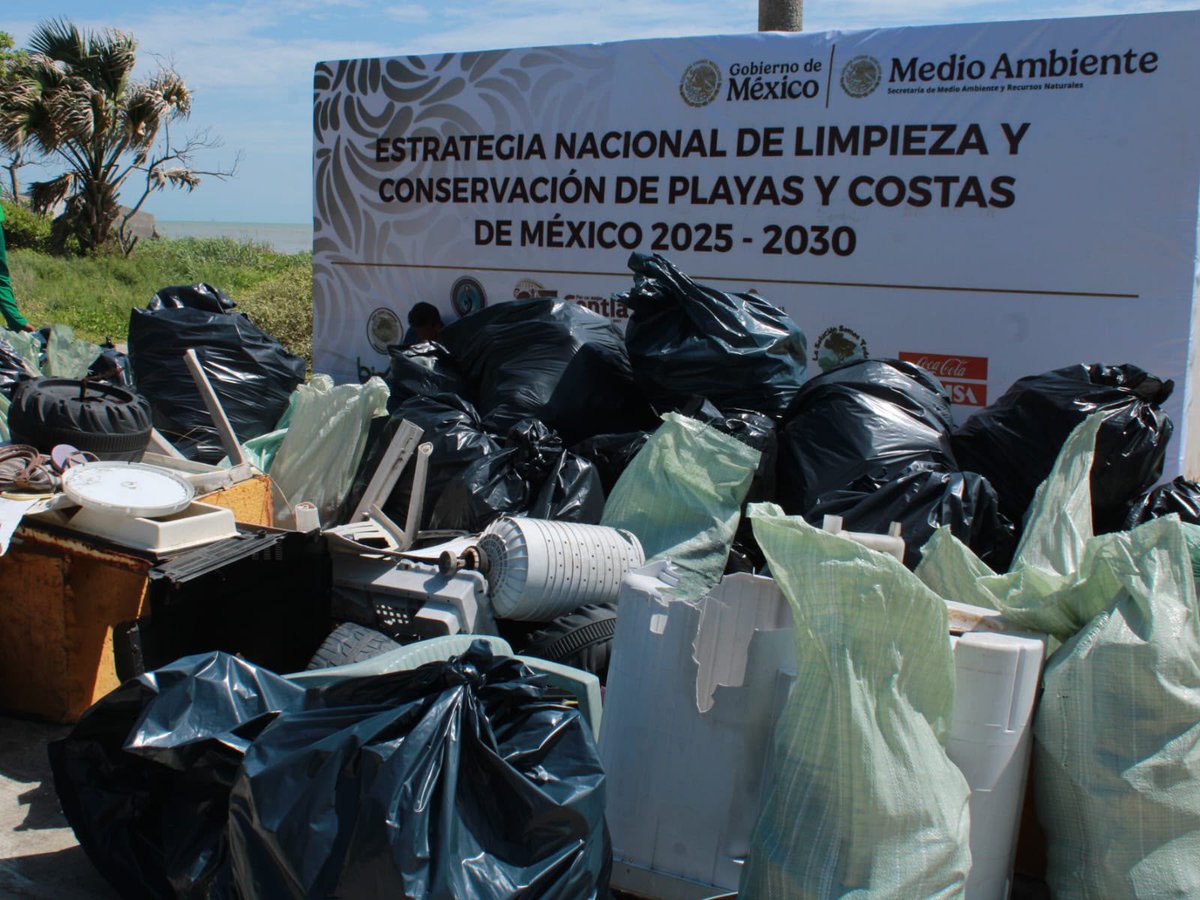 SEMARNAT_mx's tweet photo. En #Tabasco, la #Semarnat, a través de su Oficina de Representación estatal, coordinó la 15.ª Jornada de Limpieza y Conservación de Playas y Costas en Playa San Pedro, municipio de Centla.

🌊 En coordinación con autoridades y organizaciones aliadas, se recorrieron 3 kilómetros de litoral y se recolectaron alrededor de 550 kg de residuos, contribuyendo a la limpieza de las playas y a la protección de los ecosistemas costeros.

#SomosMedioAmbiente