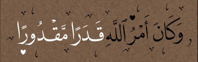 bahar8235's tweet photo. #بوح_آخر_الليل https://t.co/T1wYuA0AEE