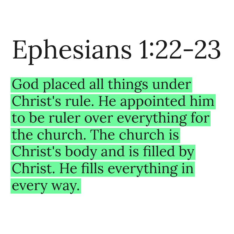 Holy Bible tweet media