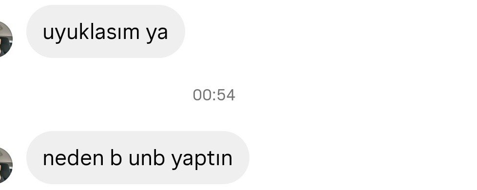 şehrazat tuzcuoğlu tweet media