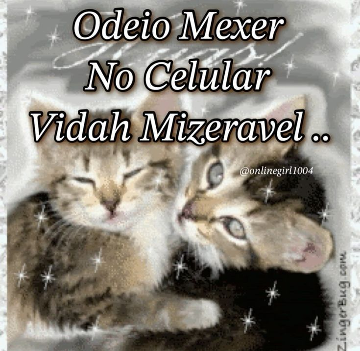 mari tweet media