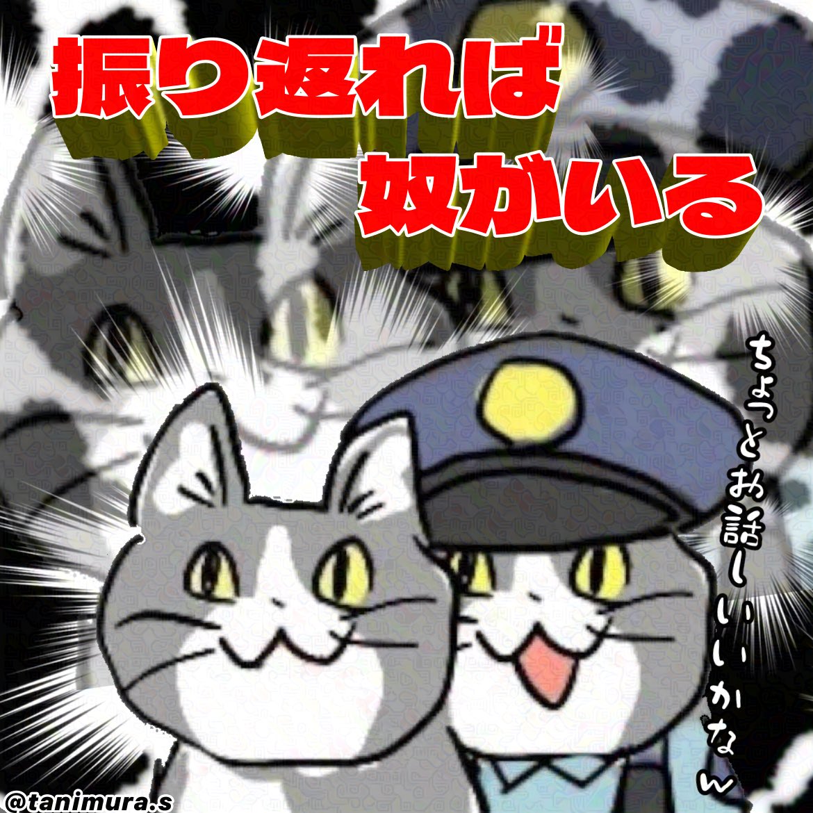 zwuqq's tweet photo. 今から一緒にこれから一緒に

#現場猫 
#現場ネコ https://t.co/6G3ecCvDG4