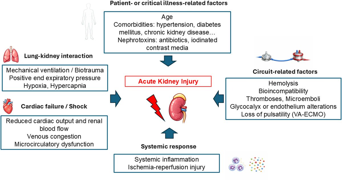 CritCareReviews tweet picture