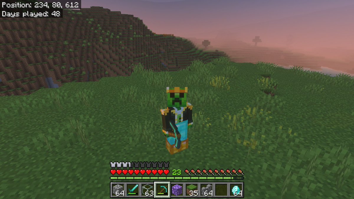 najoddy's tweet photo. Minecraft = #chilling 🧘🏻‍♀️ https://t.co/in2DcgXltw