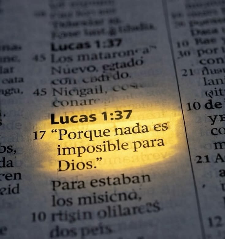 CesarPe67326321's tweet photo. Amén 🙏 https://t.co/4D4rSumDbn