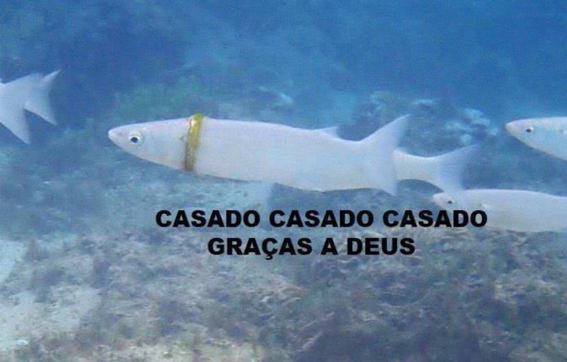 kakachatta's tweet photo. a rayssa leal assim em todo vídeo dela mostrando o bambolê que tem na mão https://t.co/wDGnkLcJs0
