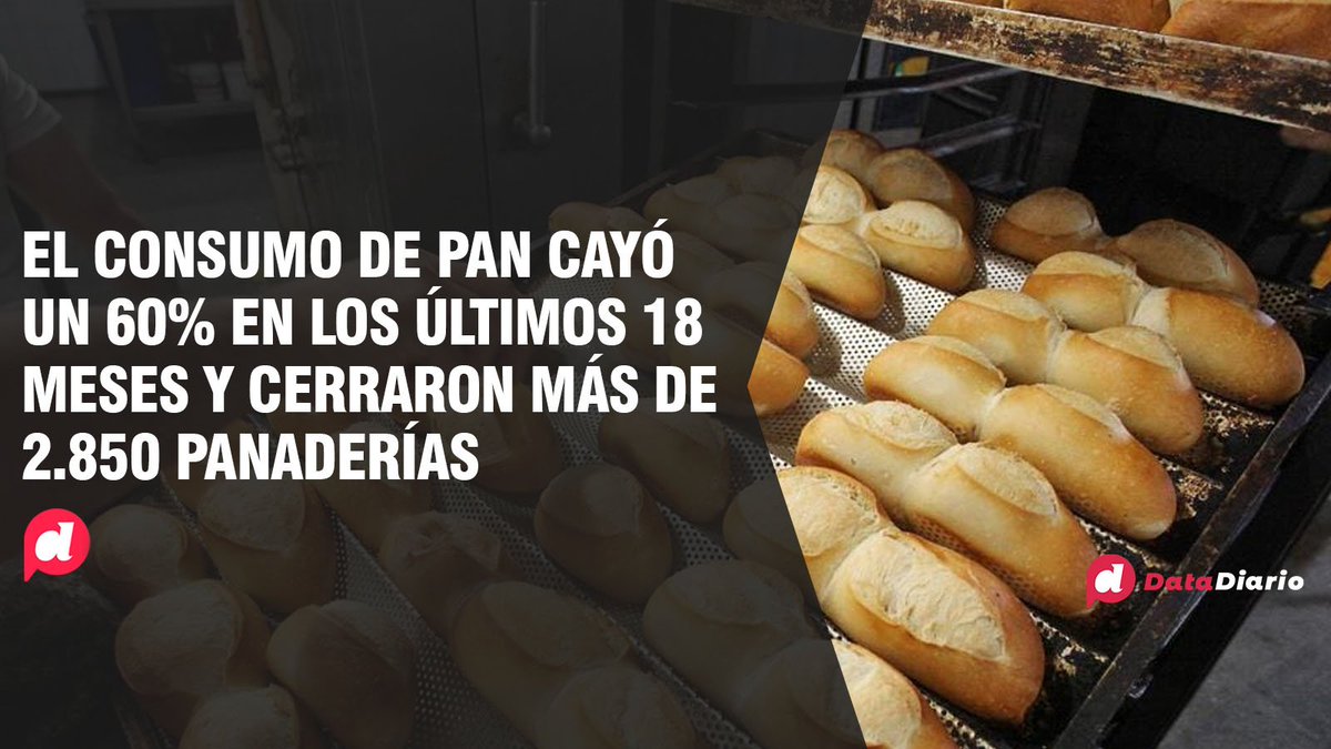 Data Diario tweet media